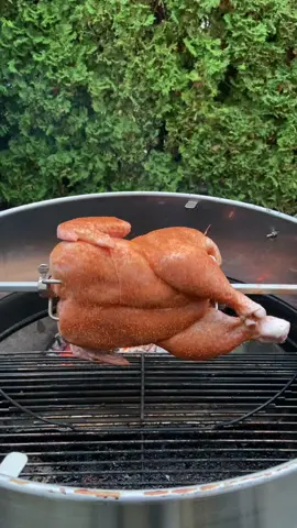 A real chicken turning on a backyard rotisserie